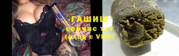 индика Лабытнанги