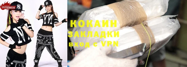 индика Лабытнанги