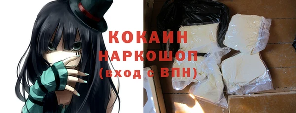 индика Лабытнанги