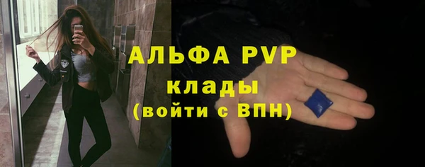 твердый Лагань