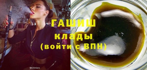 индика Лабытнанги