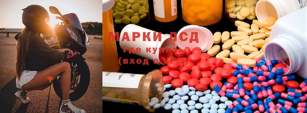 индика Лабытнанги