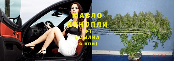 твердый Лагань